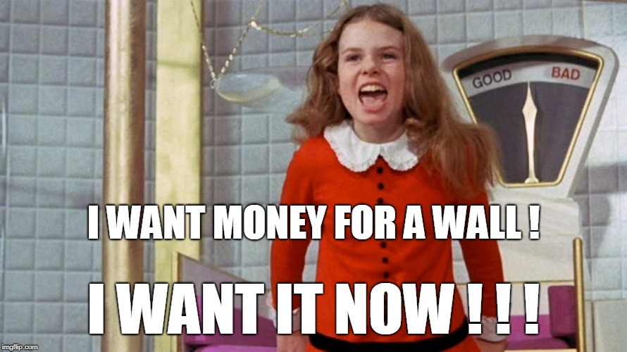 I WANT MONEY FOR A WALL ! I WANT IT NOW ! ! ! | image tagged in trump,trump wall | made w/ Imgflip meme maker