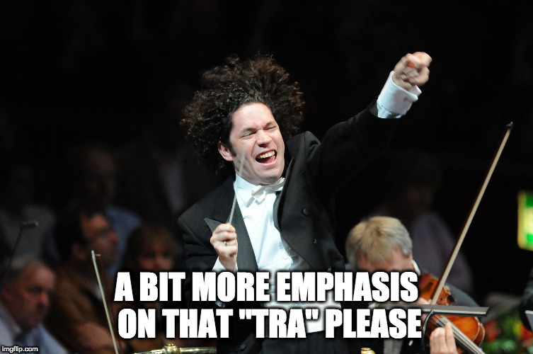 Orchestra Conductor | A BIT MORE EMPHASIS ON THAT "TRA" PLEASE | image tagged in orchestra conductor | made w/ Imgflip meme maker