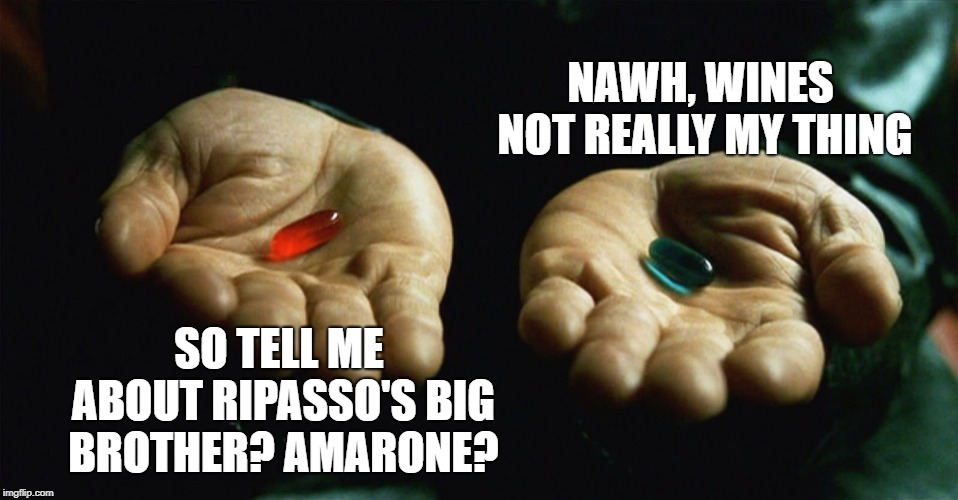 Red pill blue pill | NAWH, WINES NOT REALLY MY THING; SO TELL ME ABOUT RIPASSO'S BIG BROTHER? AMARONE? | image tagged in red pill blue pill | made w/ Imgflip meme maker
