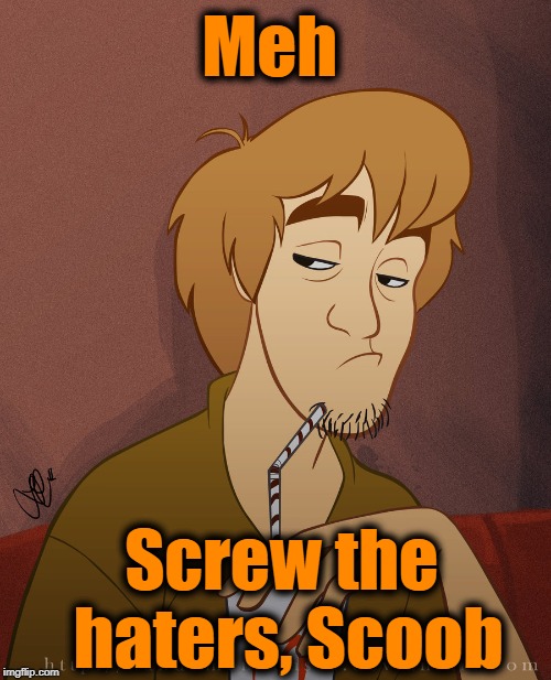 Meh Screw the haters, Scoob | made w/ Imgflip meme maker