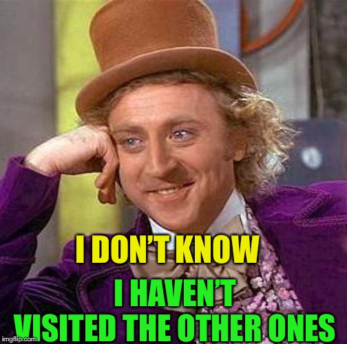 Creepy Condescending Wonka Meme | I DON’T KNOW I HAVEN’T VISITED THE OTHER ONES | image tagged in memes,creepy condescending wonka | made w/ Imgflip meme maker
