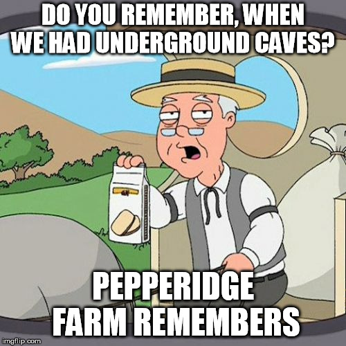 Pepperidge Farm Remembers Meme | DO YOU REMEMBER, WHEN WE HAD UNDERGROUND CAVES? PEPPERIDGE FARM REMEMBERS | image tagged in memes,pepperidge farm remembers | made w/ Imgflip meme maker