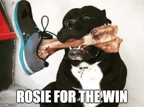 ROSIE FOR THE WIN | made w/ Imgflip meme maker