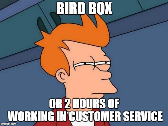Futurama Fry Meme | BIRD BOX; OR 2 HOURS OF WORKING IN CUSTOMER SERVICE | image tagged in memes,futurama fry | made w/ Imgflip meme maker