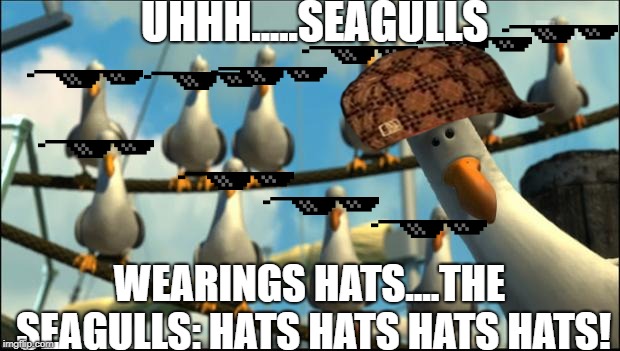 Finding Nemo "Mine" Seagulls | UHHH.....SEAGULLS; WEARINGS HATS....THE SEAGULLS: HATS HATS HATS HATS! | image tagged in finding nemo mine seagulls | made w/ Imgflip meme maker