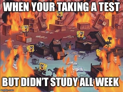 Spongebob Brain | WHEN YOUR TAKING A TEST; BUT DIDN’T STUDY ALL WEEK | image tagged in spongebob brain | made w/ Imgflip meme maker