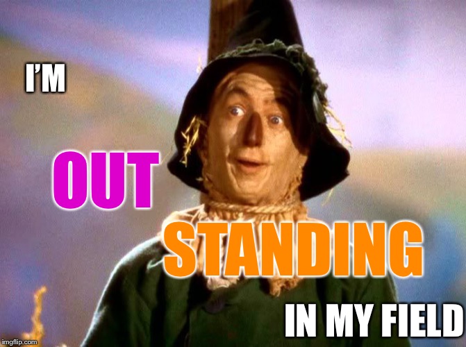Wizard of Oz Scarecrow | I’M OUT STANDING IN MY FIELD | image tagged in wizard of oz scarecrow | made w/ Imgflip meme maker