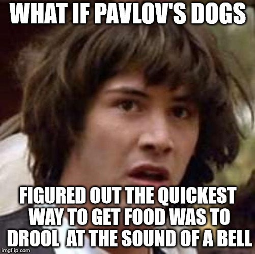 What if | WHAT IF PAVLOV'S DOGS; FIGURED OUT THE QUICKEST WAY TO GET FOOD WAS TO DROOL  AT THE SOUND OF A BELL | image tagged in what if | made w/ Imgflip meme maker