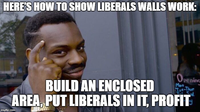 Roll Safe Think About It Meme | HERE'S HOW TO SHOW LIBERALS WALLS WORK: BUILD AN ENCLOSED AREA,
PUT LIBERALS IN IT,
PROFIT | image tagged in memes,roll safe think about it | made w/ Imgflip meme maker