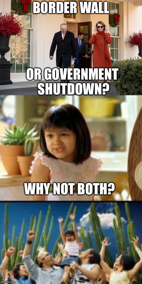 BORDER WALL; OR GOVERNMENT SHUTDOWN? WHY NOT BOTH? | image tagged in memes,why not both,never take a pence to a gunfight | made w/ Imgflip meme maker