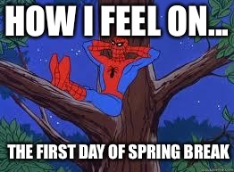 Spring Break | HOW I FEEL ON... THE FIRST DAY OF SPRING BREAK | image tagged in spiderman tree,spiderman,spring,break,school,work | made w/ Imgflip meme maker