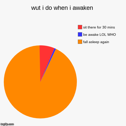 wut i do when i awaken | fall asleep again, be awake LOL WHO, sit there for 30 mins | image tagged in funny,pie charts | made w/ Imgflip chart maker