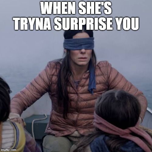 Bird Box | WHEN SHE'S TRYNA SURPRISE YOU | image tagged in birdbox | made w/ Imgflip meme maker