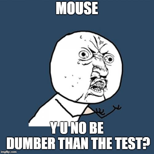 Y U No Meme | MOUSE Y U NO BE DUMBER THAN THE TEST? | image tagged in memes,y u no | made w/ Imgflip meme maker