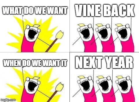 What Do We Want | WHAT DO WE WANT; VINE BACK; NEXT YEAR; WHEN DO WE WANT IT | image tagged in memes,what do we want | made w/ Imgflip meme maker