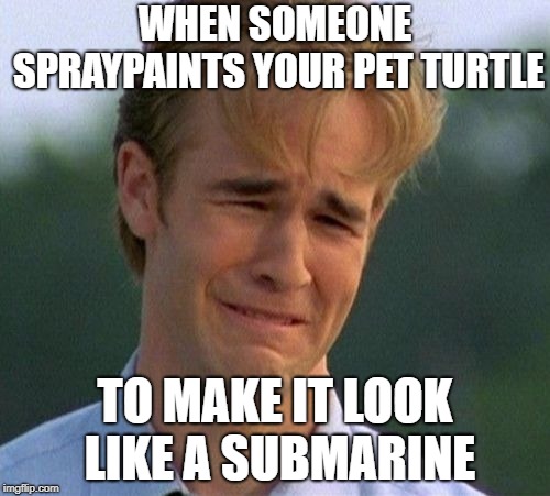 1990s First World Problems Meme | WHEN SOMEONE SPRAYPAINTS YOUR PET TURTLE; TO MAKE IT LOOK LIKE A SUBMARINE | image tagged in memes,1990s first world problems | made w/ Imgflip meme maker