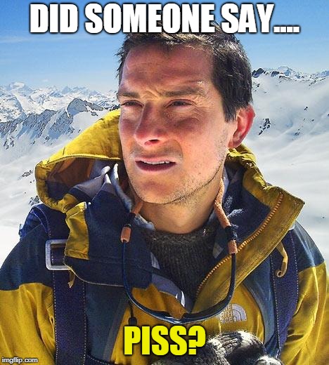 Bear Grylls Meme | DID SOMEONE SAY.... PISS? | image tagged in memes,bear grylls | made w/ Imgflip meme maker