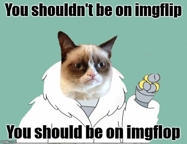 Grump throw down | You shouldn't be on imgflip; You should be on imgflop | image tagged in funny memes,imgflip,cat,grumpy cat,grumpy | made w/ Imgflip meme maker