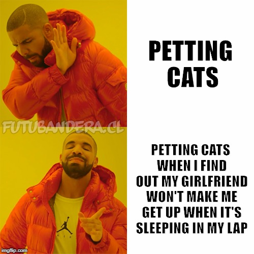 Drake Hotline Bling | PETTING CATS; PETTING CATS WHEN I FIND OUT MY GIRLFRIEND WON'T MAKE ME GET UP WHEN IT'S SLEEPING IN MY LAP | image tagged in drake,memes | made w/ Imgflip meme maker