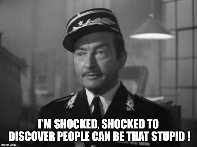 Captain Renault is shocked to find Claude Rains gambling in Casa | I'M SHOCKED, SHOCKED TO DISCOVER PEOPLE CAN BE THAT STUPID ! | image tagged in captain renault is shocked to find claude rains gambling in casa | made w/ Imgflip meme maker