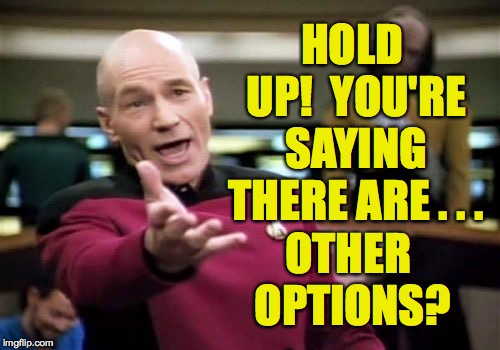 Picard Wtf Meme | HOLD UP!  YOU'RE SAYING THERE ARE . . . OTHER OPTIONS? | image tagged in memes,picard wtf | made w/ Imgflip meme maker