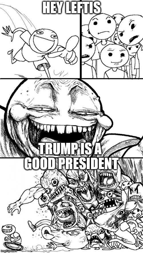 Hey Internet | HEY LEFTIS; TRUMP IS A GOOD PRESIDENT | image tagged in memes,hey internet | made w/ Imgflip meme maker