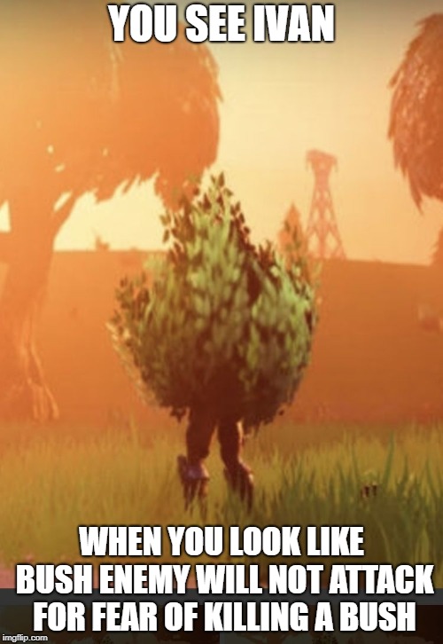 Fortnite bush | YOU SEE IVAN; WHEN YOU LOOK LIKE BUSH ENEMY WILL NOT ATTACK FOR FEAR OF KILLING A BUSH | image tagged in fortnite bush | made w/ Imgflip meme maker