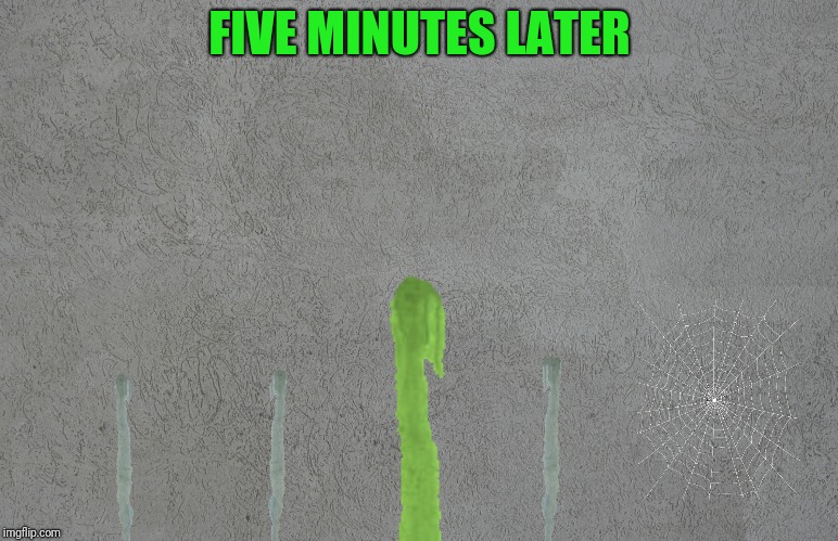 FIVE MINUTES LATER | made w/ Imgflip meme maker
