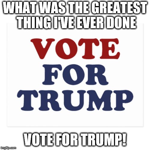 trump meme | WHAT WAS THE GREATEST THING I'VE EVER DONE; VOTE FOR TRUMP! | image tagged in donald trump | made w/ Imgflip meme maker