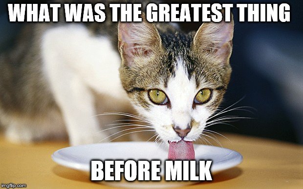 cat drinking milk meme | WHAT WAS THE GREATEST THING; BEFORE MILK | image tagged in cat memes | made w/ Imgflip meme maker