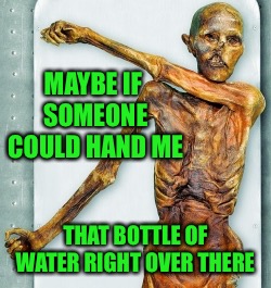 MAYBE IF SOMEONE COULD HAND ME THAT BOTTLE OF WATER RIGHT OVER THERE | made w/ Imgflip meme maker