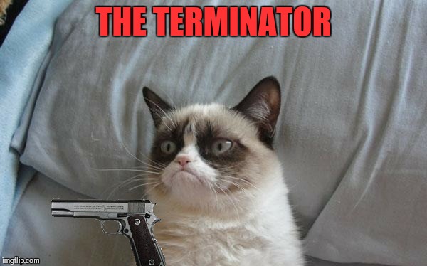 Grumpy cat gun | THE TERMINATOR | image tagged in grumpy cat gun | made w/ Imgflip meme maker