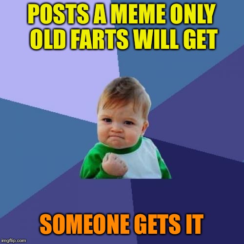 Success Kid Meme | POSTS A MEME ONLY OLD FARTS WILL GET SOMEONE GETS IT | image tagged in memes,success kid | made w/ Imgflip meme maker