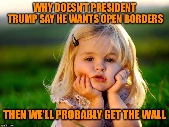 Use a little “reverse psychology” | WHY DOESN’T PRESIDENT TRUMP SAY HE WANTS OPEN BORDERS; THEN WE’LL PROBABLY GET THE WALL | image tagged in build that wall | made w/ Imgflip meme maker