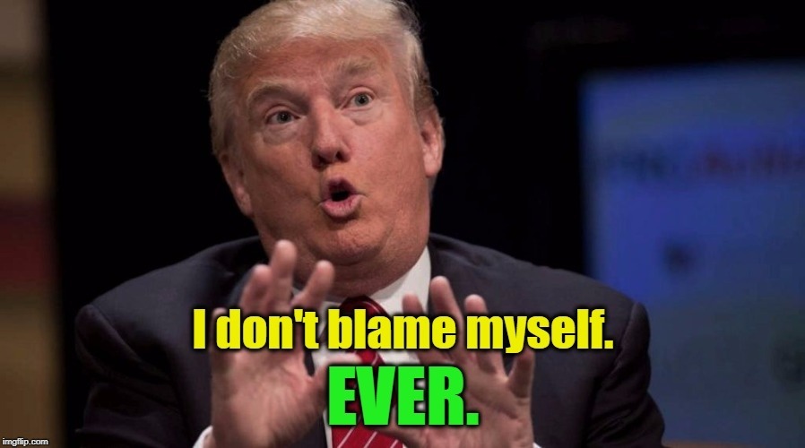 Yeah. We've noticed. It's starting to wear a little thin. | . | image tagged in trump,responsibility,blame,coward | made w/ Imgflip meme maker