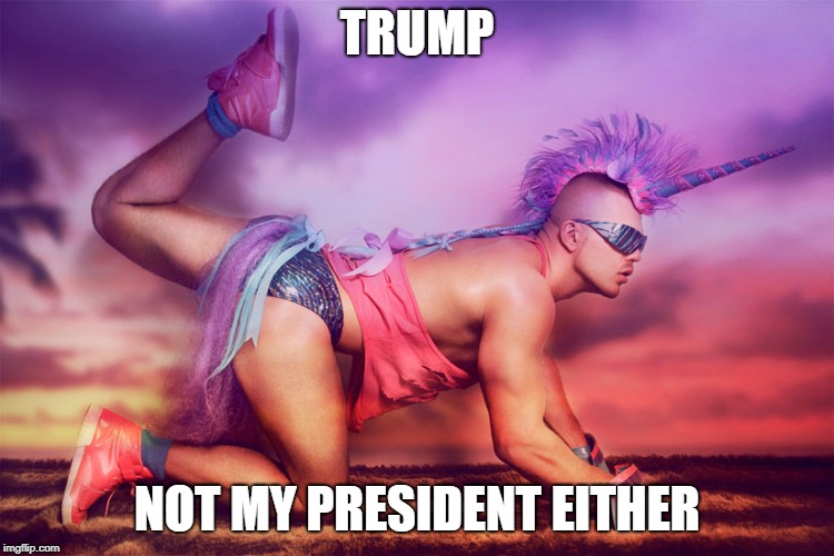 unicorn man | TRUMP NOT MY PRESIDENT EITHER | image tagged in unicorn man | made w/ Imgflip meme maker
