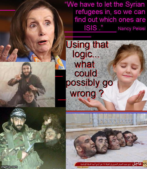 Nancy- the BRAIN of the Dimowits--NANCY 2020 !!!!!!!!!! make America LOL again ! | . | image tagged in nancy pelosi,nancy pelosi wtf,democrats,politics lol,lol so funny,funny memes | made w/ Imgflip meme maker