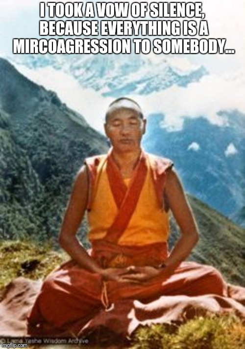 Buddhist monk | I TOOK A VOW OF SILENCE, BECAUSE EVERYTHING IS A MIRCOAGRESSION TO SOMEBODY... | image tagged in buddhist monk,memes,meme,microaggression,vow | made w/ Imgflip meme maker