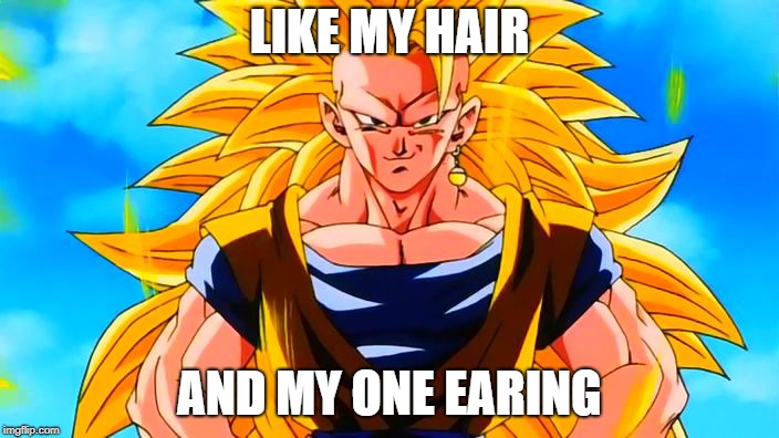 Super Saiyan 3 Goku | LIKE MY HAIR; AND MY ONE EARING | image tagged in super saiyan 3 goku | made w/ Imgflip meme maker