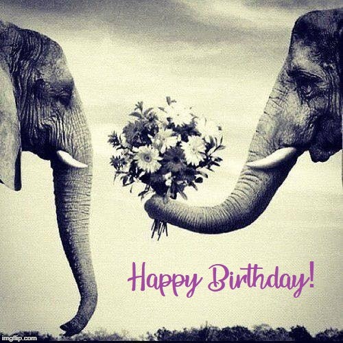 Elephant Birthday | image tagged in elephant,happy birthday,birthday,flowers | made w/ Imgflip meme maker