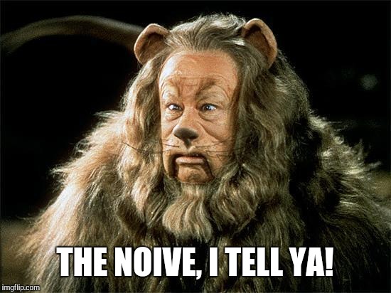 cowardly lion | THE NOIVE, I TELL YA! | image tagged in cowardly lion | made w/ Imgflip meme maker
