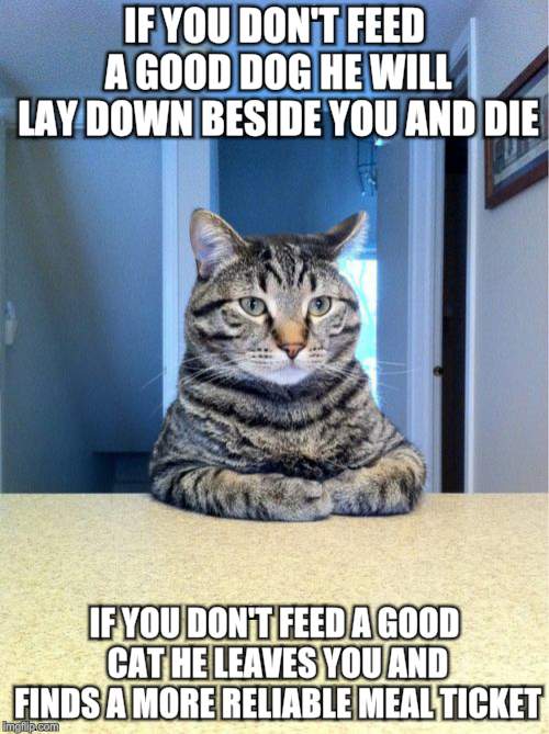 Proof Cats Don't Love You | IF YOU DON'T FEED A GOOD DOG HE WILL LAY DOWN BESIDE YOU AND DIE; IF YOU DON'T FEED A GOOD CAT HE LEAVES YOU AND FINDS A MORE RELIABLE MEAL TICKET | image tagged in memes,cats,dogs,love | made w/ Imgflip meme maker