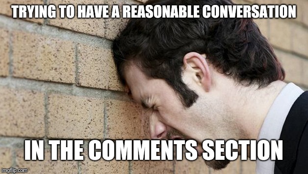 Banging Head against wall | TRYING TO HAVE A REASONABLE CONVERSATION; IN THE COMMENTS SECTION | image tagged in banging head against wall | made w/ Imgflip meme maker