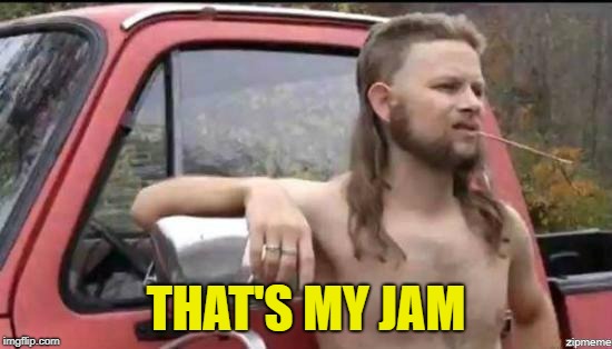 almost politically correct redneck | THAT'S MY JAM | image tagged in almost politically correct redneck | made w/ Imgflip meme maker