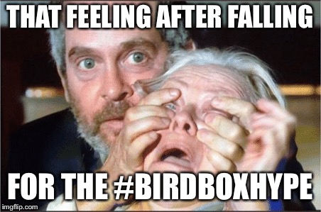 Bird box eyes open | THAT FEELING AFTER FALLING; FOR THE #BIRDBOXHYPE | image tagged in bird box eyes open | made w/ Imgflip meme maker