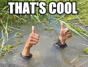 FLOODING THUMBS UP | THAT'S COOL | image tagged in flooding thumbs up | made w/ Imgflip meme maker
