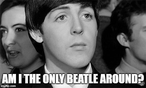 Paul McCartney | AM I THE ONLY BEATLE AROUND? | image tagged in paul mccartney | made w/ Imgflip meme maker