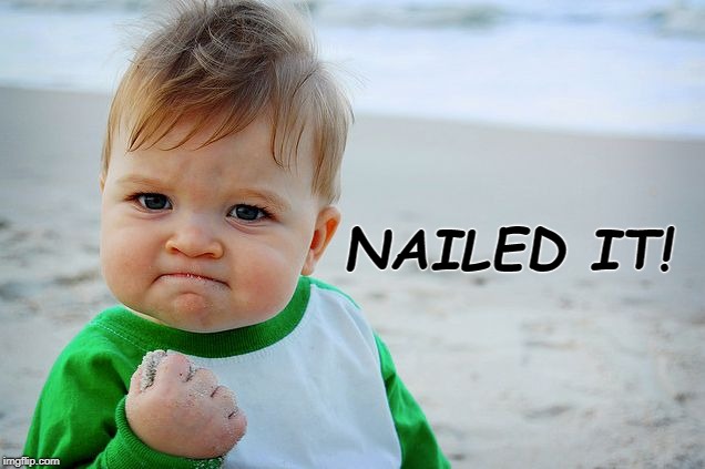 NAILED IT! | image tagged in success kid / nailed it kid | made w/ Imgflip meme maker
