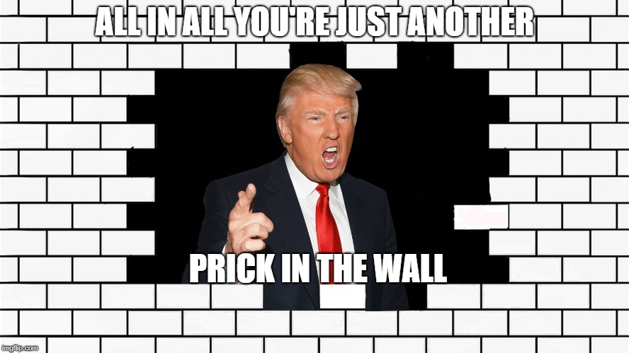 Trump -- The Wall | ALL IN ALL YOU'RE JUST ANOTHER; PRICK IN THE WALL | image tagged in trump wall,pink floyd,tru,trump | made w/ Imgflip meme maker