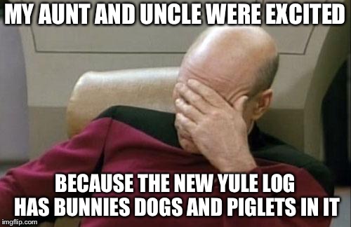 Captain Picard Facepalm Meme | MY AUNT AND UNCLE WERE EXCITED; BECAUSE THE NEW YULE LOG HAS BUNNIES DOGS AND PIGLETS IN IT | image tagged in memes,captain picard facepalm | made w/ Imgflip meme maker